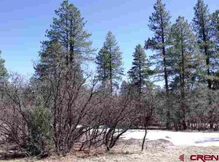 363 Window Lake Trl, Durango, CO 81301