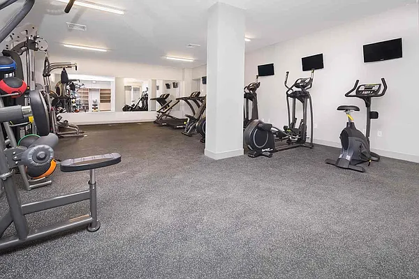 Rented by HCO NY | media 19