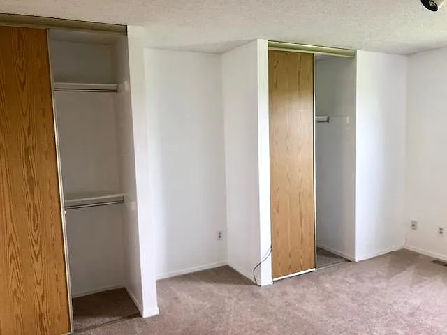 Spacious Double closet