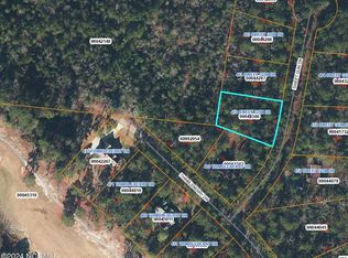 459 Sweet Gum Dr, Vass, NC 28394