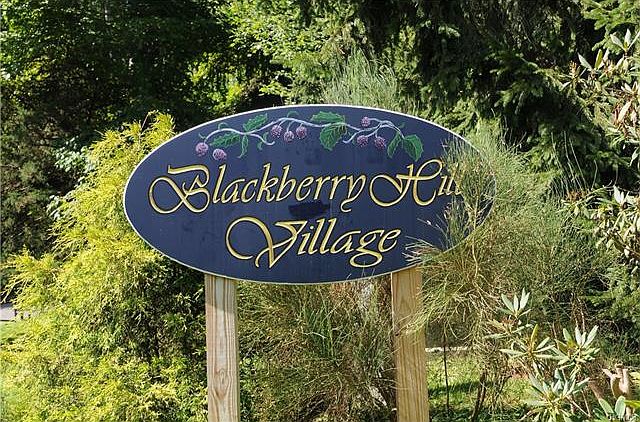 1st image of 301 Village Dr