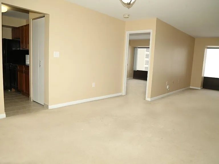1001 W Jefferson Ave #300/16F — Photo 18