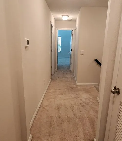 3672 Brighton Park Cir — Photo 21