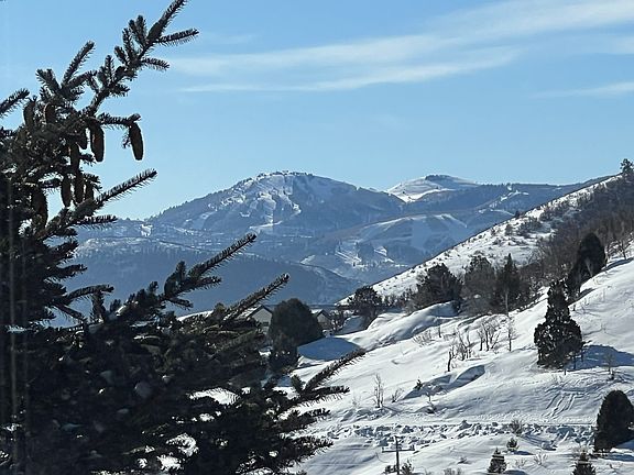 2nd image of 3461 W Saddleback Rd