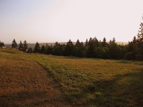 lay of the land