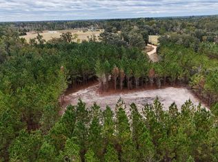 TRACT 2 Penny Morris Rd #3, Baxley, GA 31513