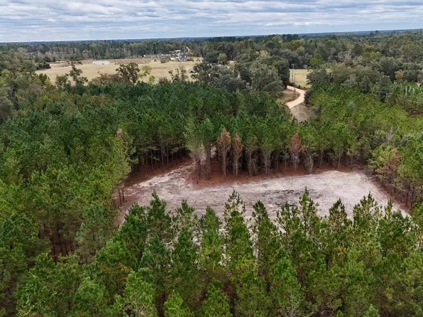 TRACT 2 Penny Morris Rd #3, Baxley, GA 31513