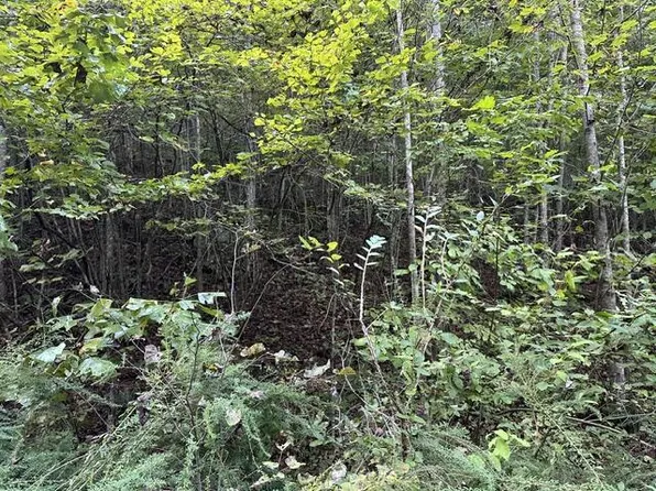 LOT 384 E Obey Ln, Wilder, TN 38589