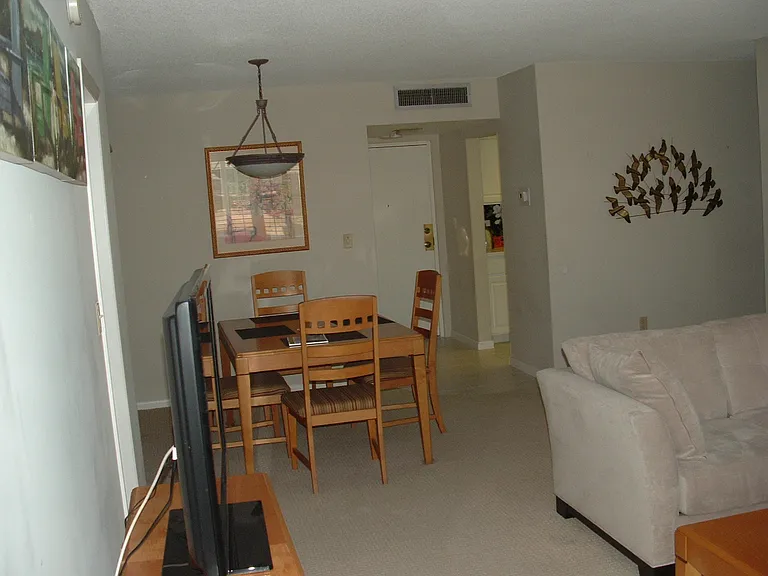 5220 Brittany Dr S #1501 — Photo 6
