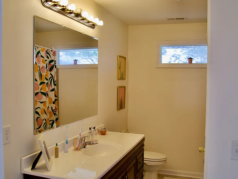 231 Wood Dale Dr — Photo 8