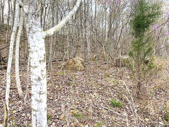 4th image of 18 River Run Ln