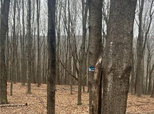 0 Lyons Hollow Rd N #40, Prattsburgh, NY 14873