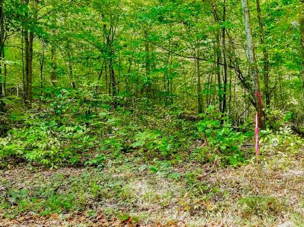 0 Bolestown Loop Lot 2, Alpine, TN 38543
