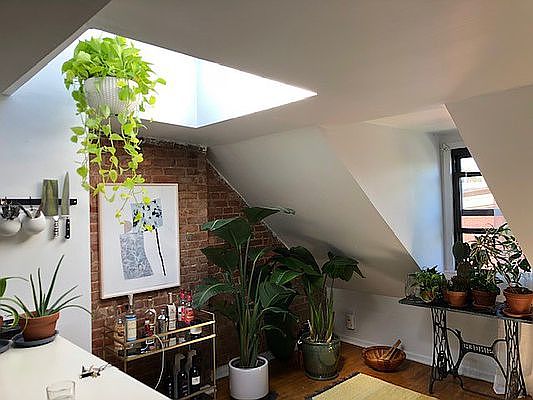 2nd image of 113 Gates Ave #5
