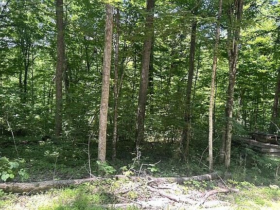 4th image of 1 Godsey Ave