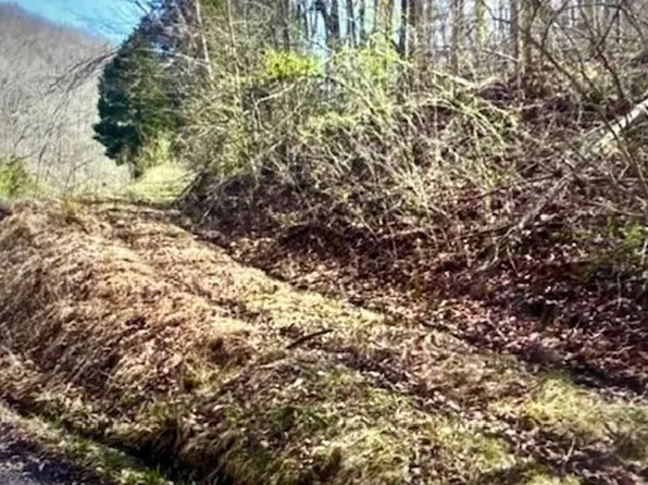 0 Utah Hollow Rd, Charleston, WV 25312