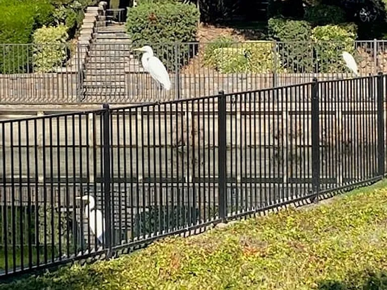 5090 Napa Shore Dr — Photo 39