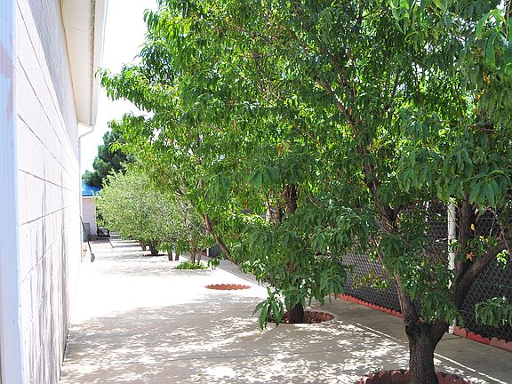 4th image of 720 Dora Celeste Dr