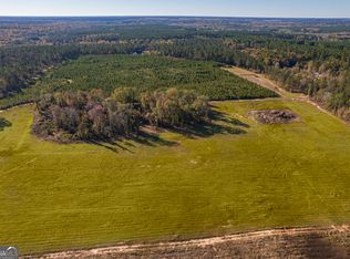 0 Brown Hill Rd, Elko, GA 31025