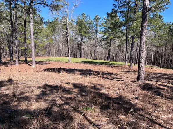 2296 Williams Road Road, Thomson, GA 30824