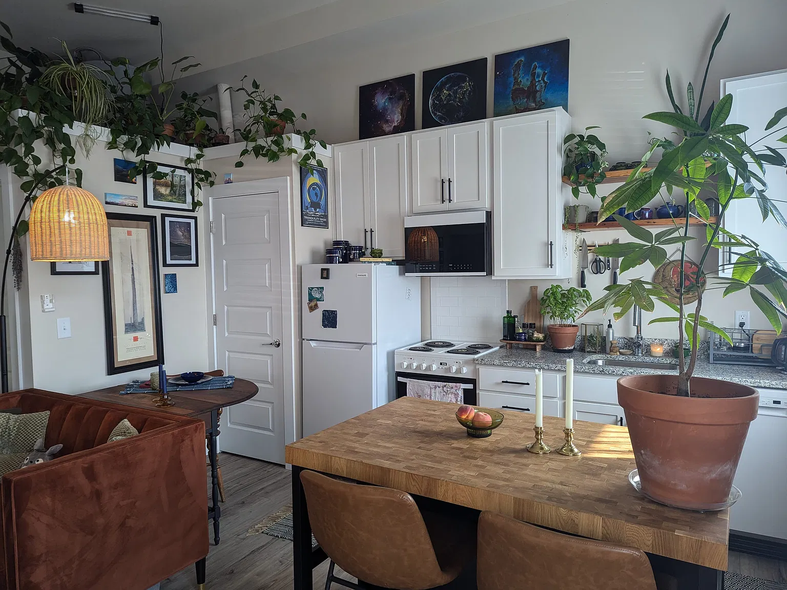 Studio, $995 — Photo 2