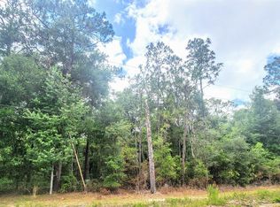 415 Pheasant Rd, Satsuma, FL 32189