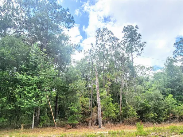 415 Pheasant Rd, Satsuma, FL 32189