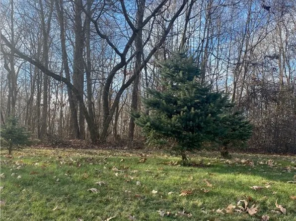 8227 Richey School Rd, Hanoverton, OH 44423