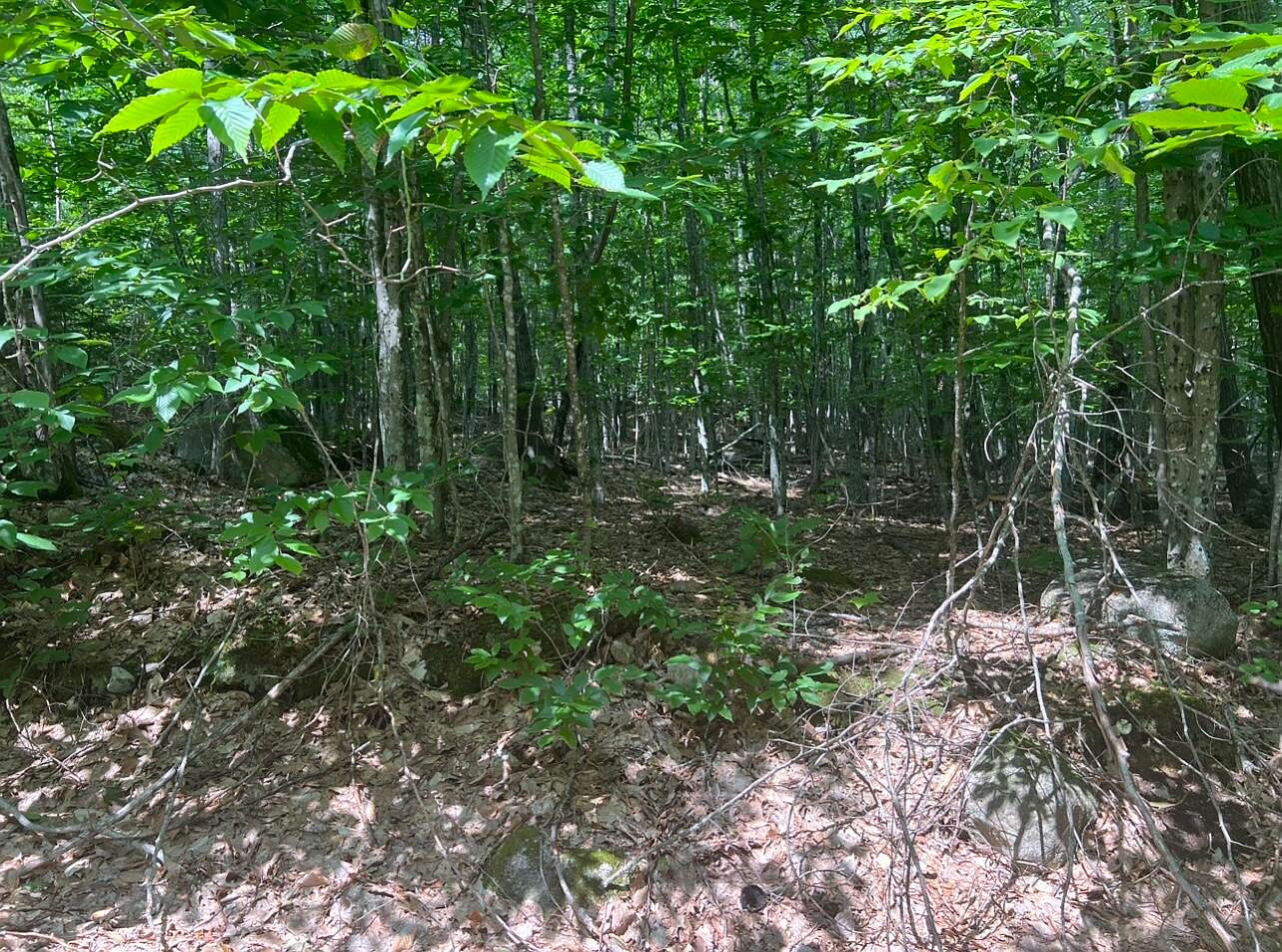 Lot 83A Half Mile Road Lot 83A, Harrison, ME 04040 MLS 1568365