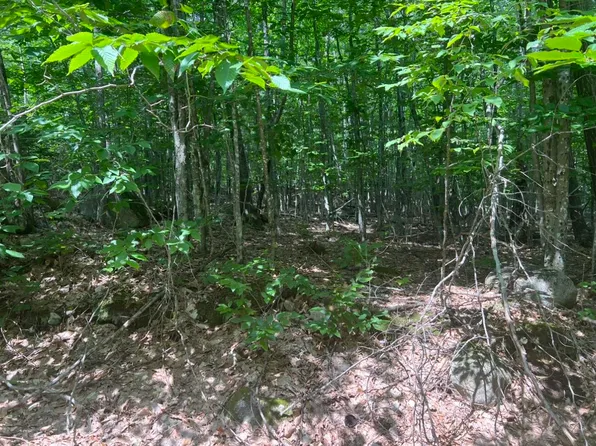 Lot 83-A Half Mile Road, Harrison, ME 04040