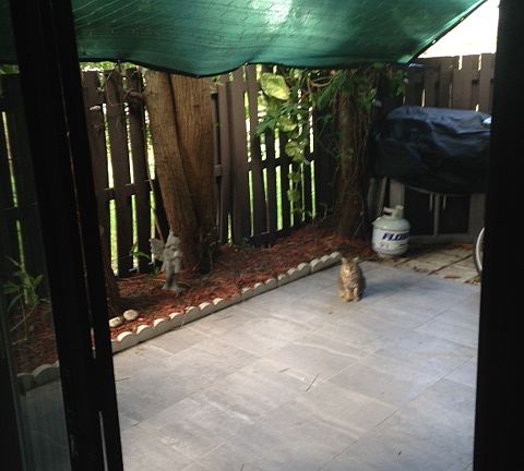 Rear Patio