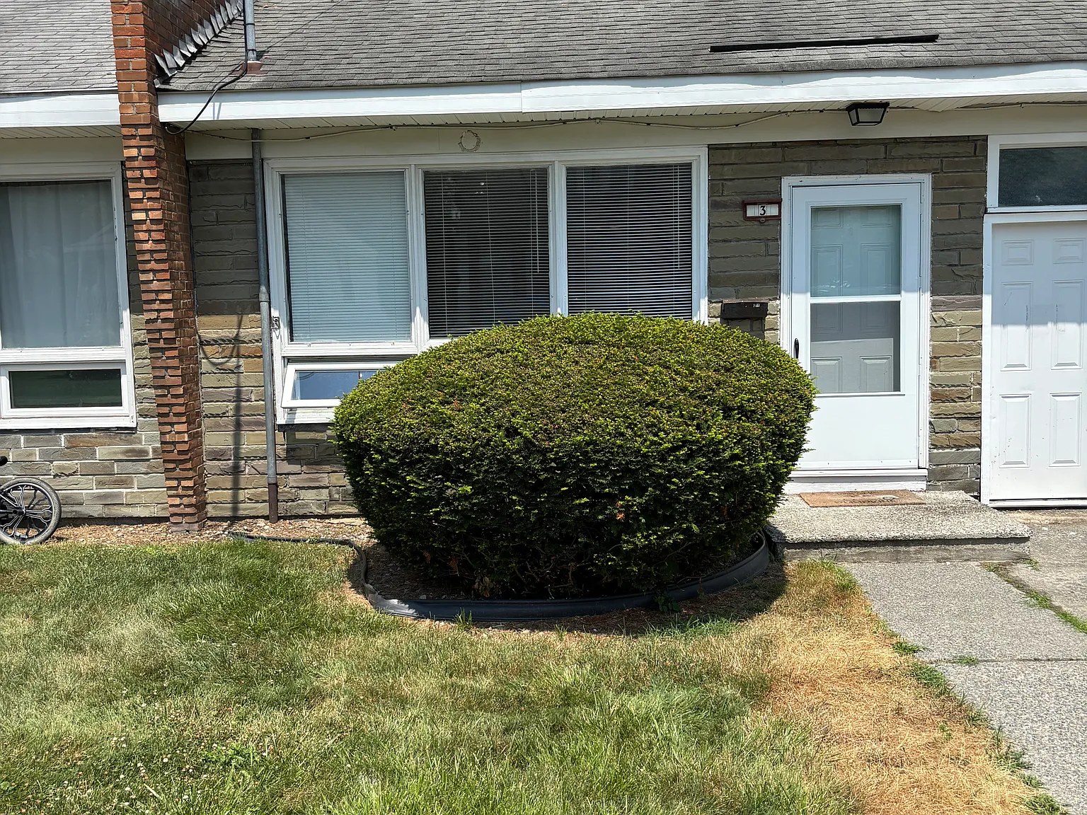 1 bed, 1000 sqft, $1,350 — Photo 2