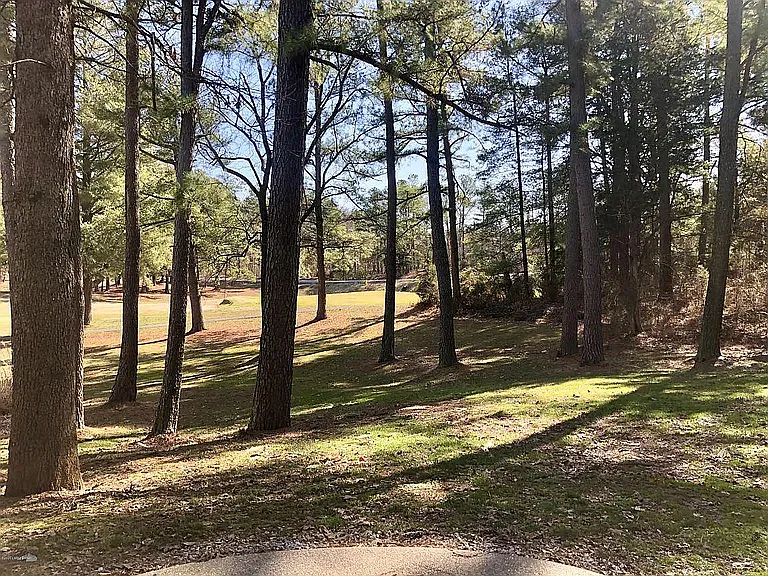 30 Mulligan Ct — Photo 11