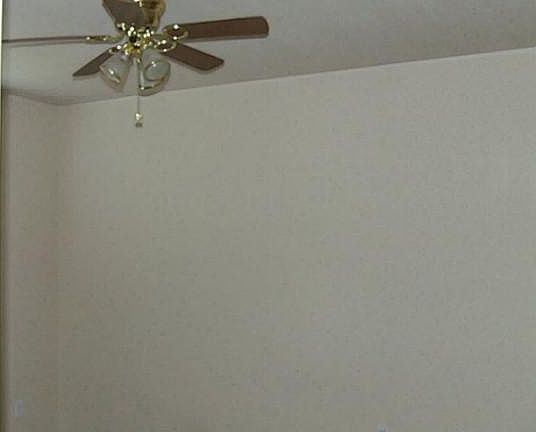 5th image of 132 Chambers Creek Cir