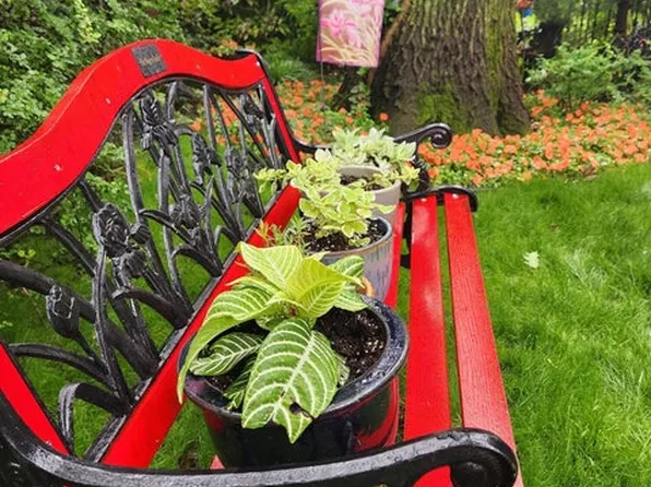 54 City Boulevard image 44 of 45