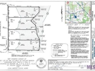 TRACT Boomerang Rd #B, Amite, LA, 70422