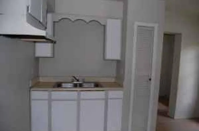 1 bed, $800 — Photo 2