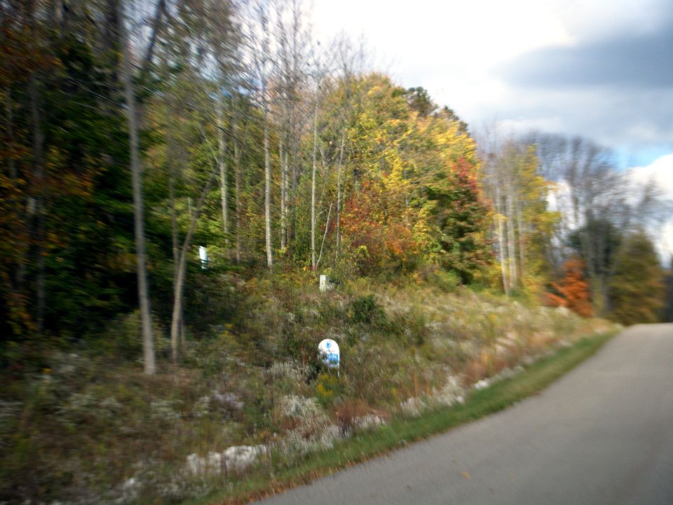 2nd image of 133 Fallen Ash Dr