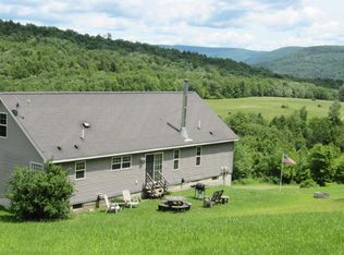 713 Lower Dingle Hill Rd, Andes, NY 13731