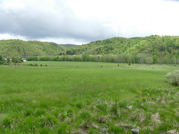 <p>Battlefield view across road</p>