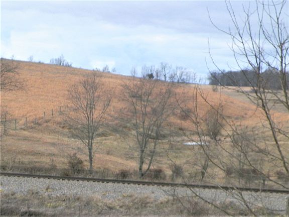 5th image of 302 Scenic Trl