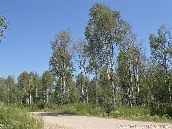 2nd image of 9843 Deer Creek Dr