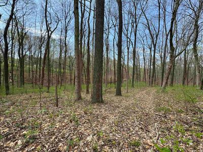 3591 N State Road 45, Solsberry, IN, 47459