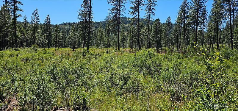 2nd image of 20 X Lynx Road