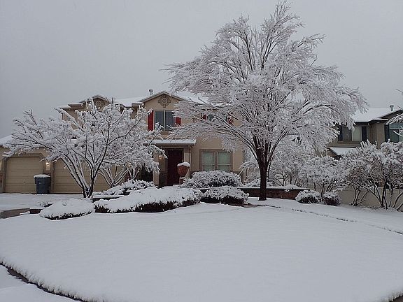 Winter wonderland