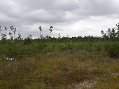 0 Highway 301 S, Nahunta, GA, 31553