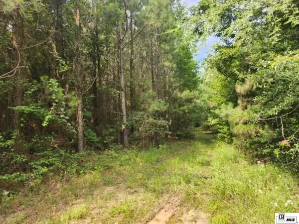Ellison Rd, Strong, AR 71765