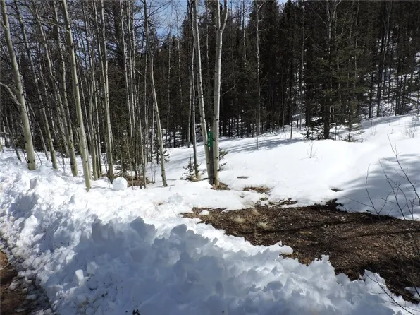 204 Osprey Road, Como, CO 80432