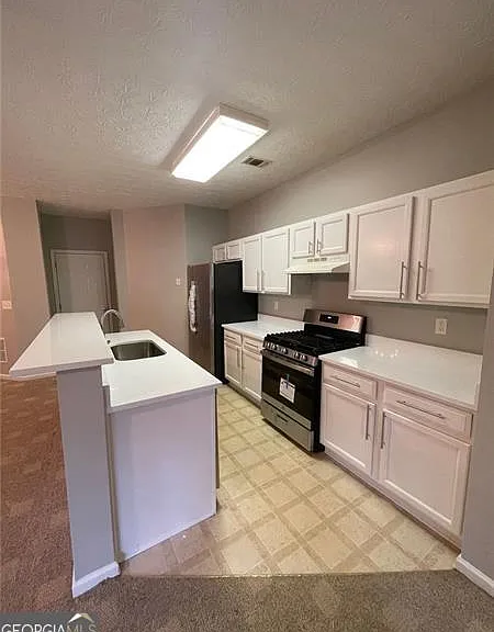 1028 Montague Place Ct — Photo 11