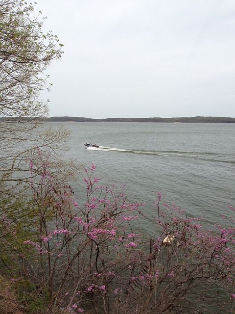 1st image of 216 Sherwood Dr. Lot 10